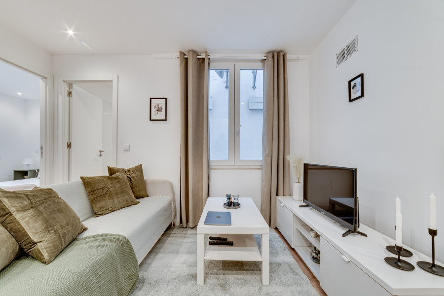 2 Bedroom Renovated Apartment in Central Lisbon Under 400k: Yes, It’s Possible