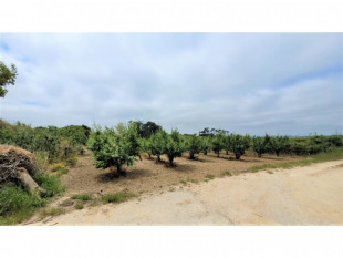 Land for construction in Bombarral, Property for sale in BL726