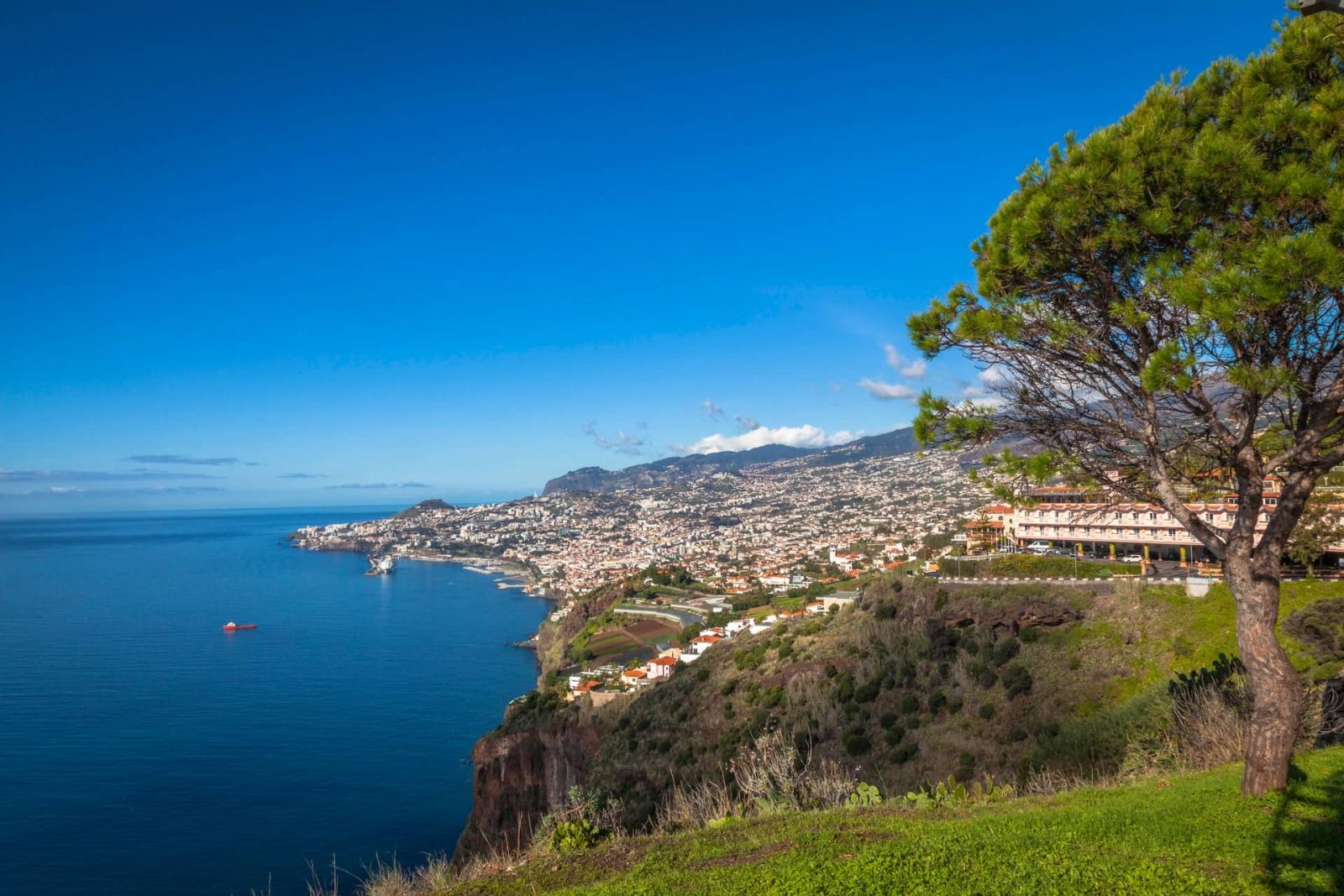 Funchal Madeira | Lookout view of the city considered the 5th best city to property invest.
