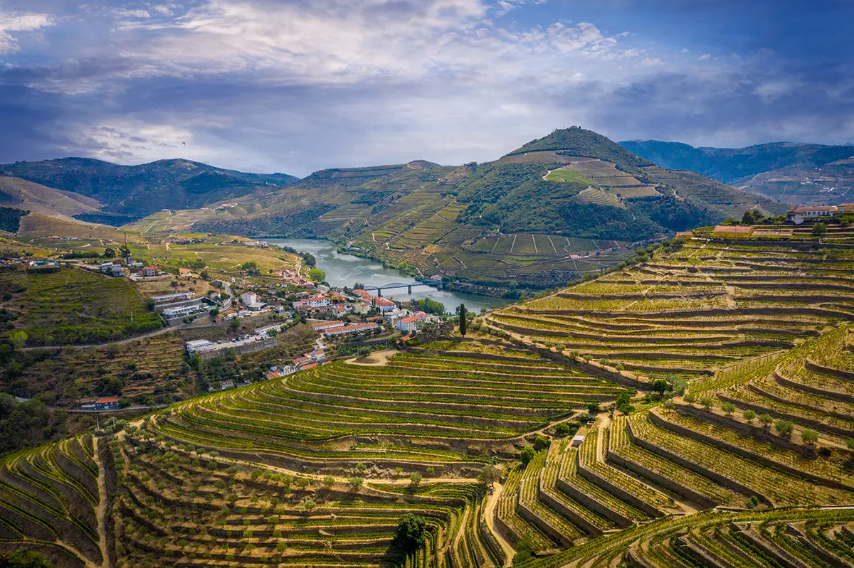 Douro Valley in autumn.